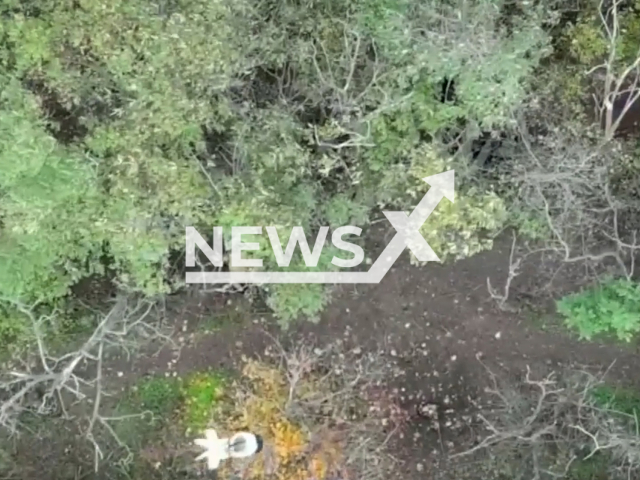 Fighters from the National Guard drop bomb from a drone on a Russian ammunition depot in Ukraine in undated footage.
The National Guard of Ukraine is a military formation with law enforcement functions, which is part of the system of the Ministry of Internal Affairs of Ukraine.
Note: This picture is a screenshot from the video.
(@NGUmainpage/Newsflash)