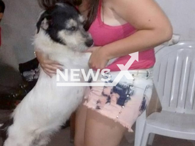 Laiza Maria poses with her dog, Big, in an undated photo. Big was ran over by
Chigozie Emmanuel Okoye, 46, in Jardim Bonifacio, East Zone of Sao Paulo, Brazil, on Friday, Sept. 30, 2022. Note: Private photo. (@laiza.iza/Newsflash)