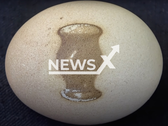 Photo shows an egg with a vase shape on it, undated photo. The unusual egg was produced in a house in Bingol, Turkey. Note: Picture is a screenshot from a video (Newsflash)