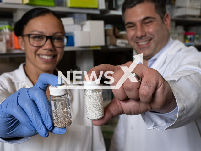 Rice University bioengineers Amanda Nash (left) and Omid Veiseh with vials of bead-like “drug factories” they created to treat cancer; The beads are designed to continuously produce natural compounds that program the immune system to attack tumors. Note: News release photo. (Jeff Fitlow, Rice University/Newsflash)