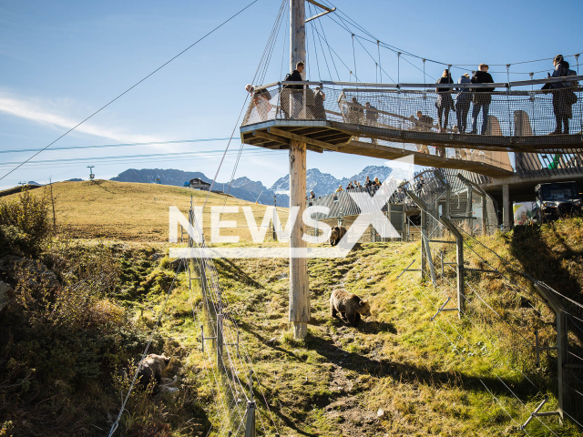 Image shows outdoor areas accessible to all bears, undated photo. Four bears met at the Arosa Bear Sanctuary in Switzerland for the first time ever on Wednesday, Oct. 5, 2022. Note: Licensed content. (Stiftung Arosa Baren, VIER PFOTEN/Newsflash)