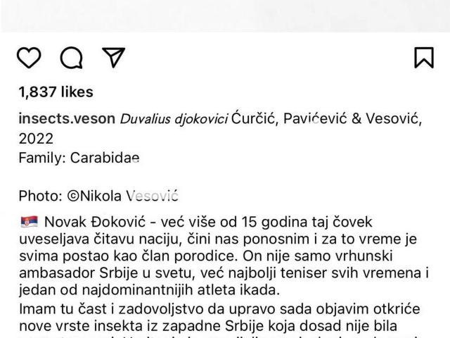 Picture shows the newly discovered insect Duvalius djokovici, undated. Researchers found a new kind of insect in Western Serbia and decided to name the insect after  Serbian tennis player Novak Djokovic. 
Note: Photo is a screenshot from a post . (Newsflash)