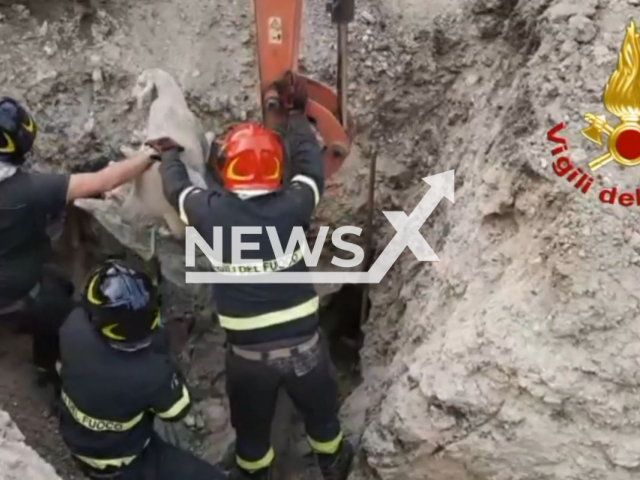 The fire brigade saves a sheep that was stuck in a water pipe in Rotello, in the province of Campobasso, Italy. Note: Photo is a screenshot from a video.(Vigili del Fuoco/Newsflash)