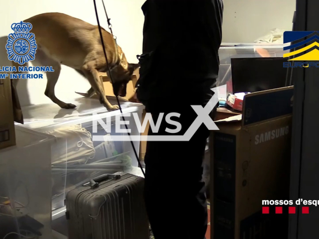 Police officers investigate as part of the operation  in Spain, undated. Police shut down the largest active laboratory in Europe in the last decade for  the production of counterfeit 500 Euro bills. Note: Picture is a screenshot from a video (Newsflash)