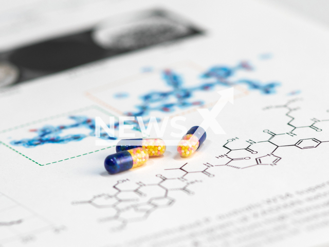 Photo shows Dynobactin, an antibiotic discovered by an international research team with the participation of the University of Basel, undated photo. Dynobactin is also effective against resistant problem germs. Note: Licensed photo (Biozentrum, University of Basel/Newsflash)