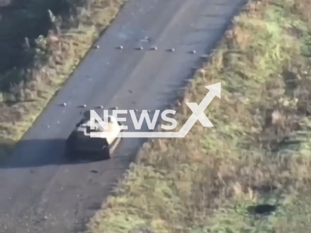 Russian military vehicle MT-LB drives straight towards a row of anti-tank mines planted along the road in Ukraine in undated footage.
The MT-LB is a Soviet multi-purpose, fully amphibious, tracked armored fighting vehicle in use since the 1950s.
Note: This picture is a screenshot from the video.
(@AFUStratCom/Newsflash)