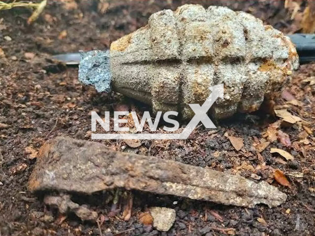 Image shows an American World War II hand grenade, undated photo. It was discovered by a mushroom collector in a forest area in the municipality of Gleichen, in Lower Saxony, Germany in October 2022. Note: Licensed content. (Polizeiinspektion Gottingen/Newsflash)