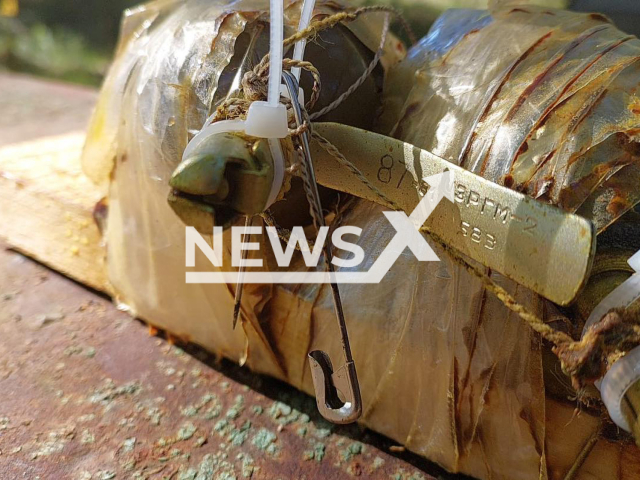 Picture shows two grenades in honey tied up with adhesive tape and with a pin near the settlement of Babyntsi in undated photo. Sappers of the Voluntary Formation of the Bucha City Territorial Community No. 1 neutralized a trap inside a beehive with two grenades in the forest in Kyiv province. Note: Photo is obtained from the Voluntary formation of the Bucha territorial community No. 1. (@dobrobatbucha/Newsflash)