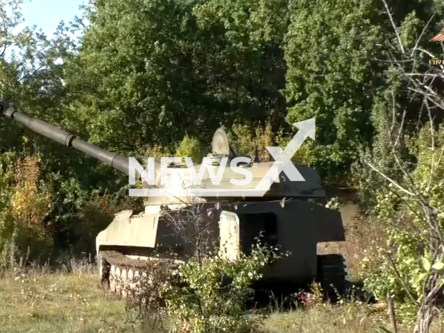 Picture shows DPR 2S1 Gvozdika self-propelled fully amphibious howitzer among trees in a forested area near Mayorsk, Donetsk region in Ukraine in undated photo. The 3rd brigade of the People's Militia of the DPR shot at positions of Ukrainian army with help of 2S1 Gvozdika. Note: Picture is a screenshot from a video (@nm_dnr/Newsflash)