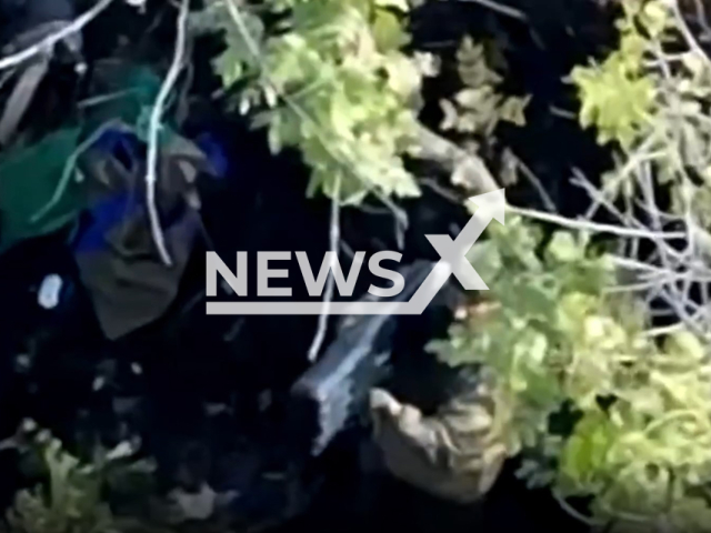 Russian soldier aims anti drone gun among trees in Donetsk region, Ukraine in undated photo. Fighters of the 30th separate mechanized brigade named after Prince Konstantin Ostrozhsky detected and dropped bombs at positions of Russian soldiers with help of drones. Note: Picture is a screenshot from a video (@30brigade/Newsflash)