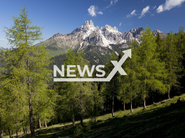 Image shows a mountain forest, in the background the Gosaukamm mountain chain, Austria, undated photo. Over 140 NGOs called for an ambitious EU law to stop the global deforestation and destruction of nature for which Europe is responsible. Note: Licensed content. (OBf archive, Uwe Grinzinger/Newsflash)