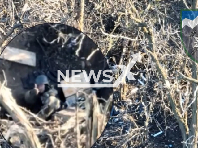 Ukrainian soldier waves hand to Ukrainian drone of his colleagues from dugout in a forested area in Ukraine in undated photo. Fighters of the108th Separate Mountain Assault Battalion of the 10th Mountain Assault Brigade shot at Russian positions. Note: Photo is screenshot from a video (@10brygada/Newsflash)