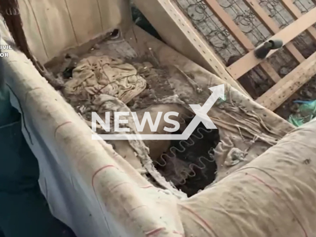 Police at a property in  Lloret de Mar, Spain,  where they rescued 18 abandoned animals and found 12 more dead. Note: Photo is a screenshot from the video (Newsflash)