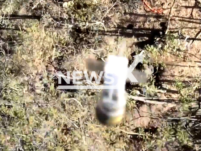 Missile falls to Russian dugout in a field area in Ukraine in undated photo. Ukrainian marines destroyed the position of Russian soldiers with help of drone. Note: Picture is a screenshot from a video (@GeneralStaff.ua/Newsflash)