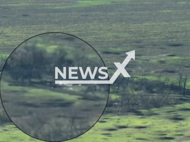 Picture shows Russian soldiers on the battlefield before they were destroyed by the Ukrainian mortar fire in Ukraine in undated footage.
The 10th separate mountain assault brigade is a military unit within the Ground Forces of the Armed Forces of Ukraine.
Note: This picture is a screenshot from the video. (@10brygada/Newsflash)