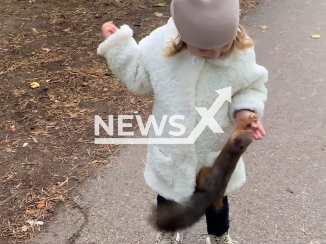 Ulyana, 3, from Perm, Russia, gives hazelnuts to a squirrel in undated footage. According to Ulyana's mother, Polina, the squirrel was not afraid of them. Note: Picture is a screenshot from a video (@borisova_photo94/Newsflash)