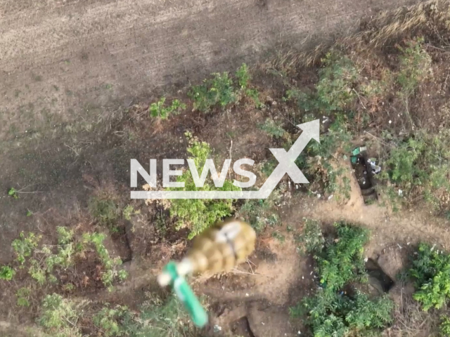 Russian paratroopers drop grenade from drones on a camouflaged Ukrainian position in Ukraine in undated footage.
According to the Russian MoD armored vehicles of the Armed Forces of Ukraine were destroyed by the fire of tanks and artillery after they were discovered with the help of drones.
Notes: Picture is a screen from video. (Ministry of Defense of Russia/Newsflash)