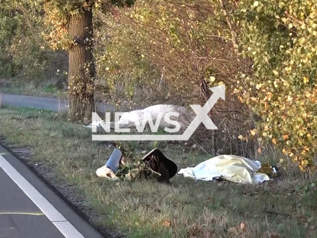 Image shows a dead horse, undated photo. It died along with its rider Martina K., 61, as a 76-year-old driver crashed into them in the district of Harburg, in Hamburg, Germany on Tuesday, Oct. 25, 2022. Note: Photo is a screenshot from a video. (Newsflash)