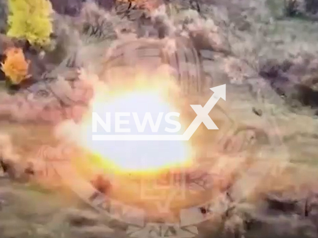 Picture shows an explosion in a forested area in Bakhmut direction of Ukraine in undated photo. Unit of Special Operation Forces wounded four Russian soldiers with a bomb drop from a UAV (unmanned aerial vehicle). Note: Picture is screenshot from a video (@8regimentUkraine/Newsflash).