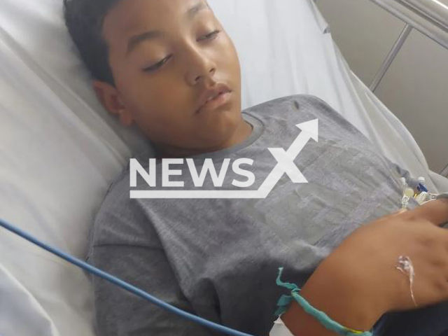 Picture shows Joao Victor Delfino Laurentino, 11, hospitalized after being bitten by a snake in Mogi das Cruzes, Brazil, undated. He died after more than seven hours passed  from the time he was bitten until the moment he received the antivenom.
Note: Private photo.  (Newsflash)