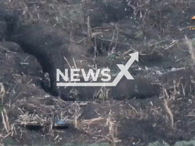 DPR soldier inspects dugout of Ukrainian positions in Nevelske, Donetsk region, Ukraine in undated photo. Soldiers of the 100th brigade of the People's Militia of the DPR stormed the stronghold of Ukrainian army and captured military ammunition and Ukrainian soldiers. Note: Picture is a screenshot from a video (@nm_dnr/Newsflash)