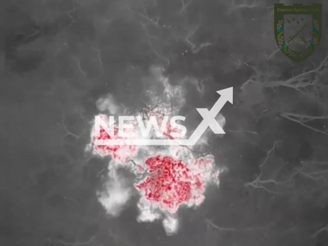 Picture shows an explosion among trees at night in Ukraine in undated photo. Intelligence of the separate brigade of the Territorial Defense of the city of Dnipro hunted for Russian occupiers at night. Note: Picture is a screenshot from a video (@BrTODnipro/Newsflash)