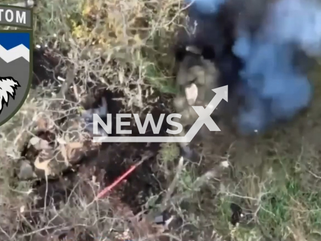 Picture shows an explosion near Russian soldiers in a forested area in Ukraine in undated photo. Fighters of the 108 Separate Mountain Assault Battalion of the 10th Brigade dropped bombs on Russian soldiers with help of UAV (unmanned aerial vehicle). Note: This picture is a screenshot from the video (@108oghb/Newsflash).