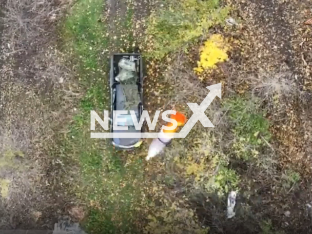 Bomb falls to Ukrainian military car in a forested area in Horlivka, Donetsk region of Ukraine in undated photo. Fighters of the 3rd brigade of the People's Militia of the DPR destroyed several Ukrainian vehicles and shot one of Ukrainian militants with a direct hit. Note: This picture is a screenshot from the video (@nm_dnr/Newsflash).