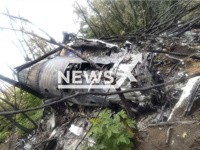 Picture shows part of hit Russian aircraft among trees in Kharkiv direction, Ukraine in undated photo. Ukrainian paratroopers of the Airborne Assault Troops of the Armed Forces of Ukraine successfully hunted down a Russian SU-30 fighter from the ZU-23 anti-aircraft gun. Note: Picture is screenshot from a video (@www.dshv.mil.gov.ua/Newsflash)