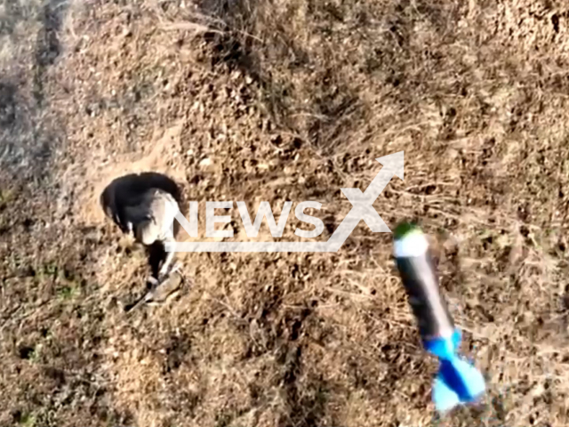 Bomb falls on Russian soldier in a field area in Ukraine in undated photo. Drone of Ukrainian Armed Forces hunted Russian soldier hiding in his dugout and dropped several bombs on him. Note: This picture is a screenshot from the video (@landforcesofukraine/Newsflash).