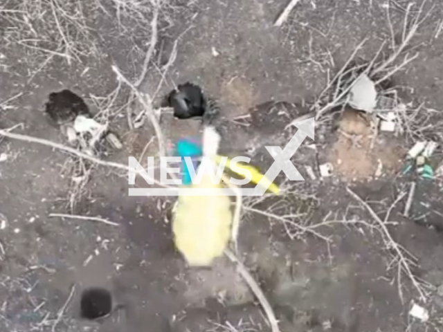 Bomb falls to Russian dugouts in forested area near Bakhmut, Donetsk region, Ukraine in undated photo. Drone operator of the 30th Prince Konstanty Ostrogski Mechanized Brigade dropped bomb on Russian soldier hiding in dugout. Note: Picture is screenshot from a video. (@30brigade/Newsflash)