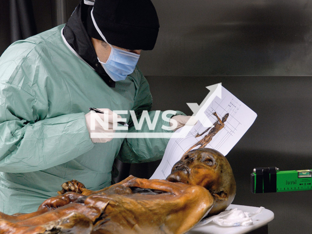 Image shows the investigation of Otzi in South Tyrol, Austria, undated photo. The South Tyrolean Museum of Archeology is the exhibition venue of the "Man from the Tisenjoch". Note: Licensed content. (South Tyrol Museum of Archeology, EURAC,  Samadelli, Staschitz/Newsflash)