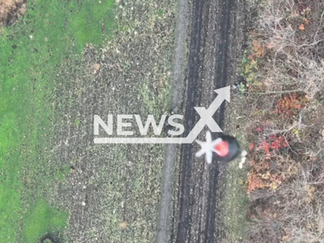 Bomb falls on Russian soldiers moving down the road near trees in Ukraine in undated photo. Fighters of the 109th Separate Mountain Assault Battalion of the 10th brigade dropped bomb from drone at a group of Russian soldiers in a field area. Note: Photo is a screenshot from the video (@109OGSHB/Newsflash)