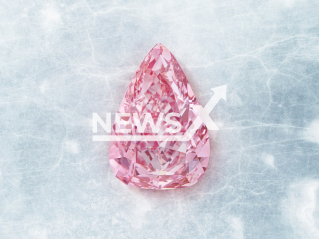 Image shows the Fortune Pink pear-shaped fancy vivid pink diamond, undated photo. It will be offered at Christie's auction Geneva Magnificent Jewels sale in Geneva, Switzerland on Tuesday, Nov. 8., 2022. Note: Licensed content. (Christie's 2022/Newsflash)