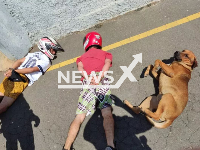 A dog lay on the ground next to two suspects during an arrest, on Sunday (6 March), in Itaperucu, Brazil. Note: Private photo.  (Newsflash)