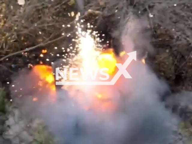 Russian military vehicle explodes among trees in Ukraine in undated photo. Fighters of the 80th separate airborne assault brigade of the Ukrainian Armed Forces destroyed military equipment of the Russian invaders: armored personnel carriers, infantry fighting vehicles, MT-LB vehicle and a car. Note: Picture is screenshot from a video (@80brigade/Newsflash).