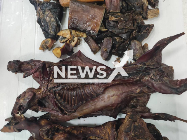 Photo shows smoked bats, smoked pork knuckles, and smoked pork belly, confiscated by officials at Suvarnabhumi Airport in Bangkok, Thailand, Tuesday, Nov. 8, 2022. A tourist from Kunming, China, was caught by sniffer dogs trying to smuggle animal carcasses into Thailand. Note: Photo is from The Director General of the Department of Livestock Development (Department of Livestock Development/Newsflash)