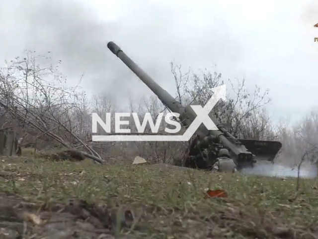 DPR soldier shoots 2A36 Giatsint-B field gun among trees near Pervomaiske settlement, Donetsk region, Ukraine in undated photo. Artillerists of the 1st Slavic Brigade of the People's Militia of the DPR destroyed Ukrainian temporary deployment point with help of 2A36 Giatsint-B. Note: Picture is a screenshot from a video (@nm_dnr/Newsflash)