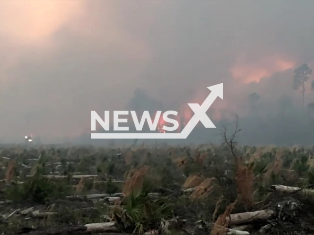 The Florida Forest Service is actively fighting two large wildfires in the Panhandle, USA. Note: Photo is a screenshot from the video (Florida Forest Service/Clipzilla)