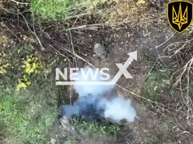 Picture shows an explosion in foxhole near trees in Bakhmut direction of Ukraine in undated photo. Drone operator of the Rapid response brigade of the National Guard of Ukraine dropped bombs on Russian soldiers. Note: Picture is a screenshot from a video (@RapidReactionBrigade/Newsflash)