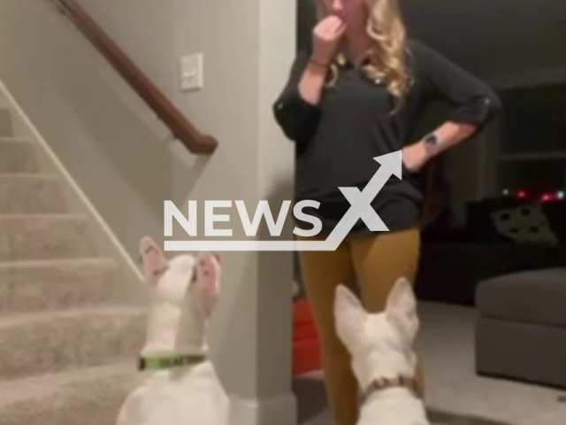 Nikki Engleman signals her two dogs, PeeWee and Faith, using sign language, on Monday, Oct. 24, 2022. PeeWee and Faith are both deaf. Note: Picture is a screenshot from the video. (@deafdogofmn/Newsflash)