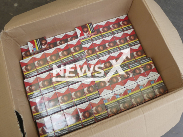 Image shows the cigarettes that were seized by customs, undated photo. The 7.3 million cigarettes worth EUR 2.3 million (GBP 2 million) were seized in the town of Petershagen, in North Rhine-Westphalia, Germany on Monday, Nov. 7, 2022. Note: Licensed content. (Zoll/Newsflash)