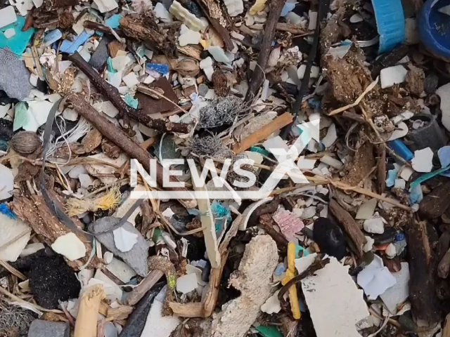 Picture shows natural and synthetic marine debris in Oahu, Hawaii, in undated footage. SEED's Trash Time Machine uses water and physics to separate natural and synthetic material. Note: Picture is a screenshot from a video (@seed.world/Newsflash)