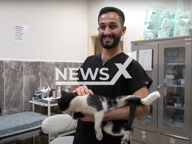 Photo shows a healthcare worker who helped a cat with its treatment in a hospital in Tatvan, Bitlis, Turkey, undated photo. It is reported that the cat suffered from a fractured paw. Note: Picture is a screenshot from a video (Newsflash)