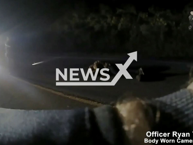 Police officer pointing the gun at the suspect Drandon John Brown, 64 in  Nashville, Tennessee, USA on Saturday, Nov. 12, 2022. Brown reportedly lived in a homeless encampment in Nashville.Note: The picture is a screenshot from a video (Metropolitan Nashville Police Department/Newsflash).