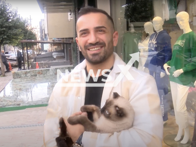 Photo shows the cat who was saved by Ozgur Anli before it hit the pavement in Gungoren, Istanbul, Turkey, Thursday, Nov. 17, 2022. The cat, named Latte, was reported to be in good health. Note: Picture is a screenshot from a video (Newsflash)