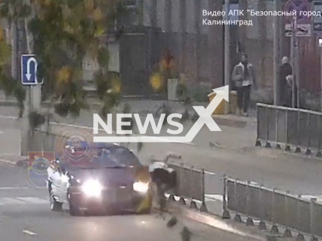 Unnamed Volkswagen car driver, 47, hits woman, 27, on pedestrian crossing in Kaliningrad, Russia, Tuesday, Nov. 15, 2022. As a result of an accident, the woman was injured. Note: Picture is a screenshot from a video (@gibdd39/Newsflash)