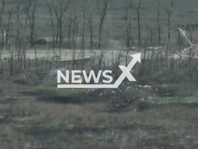 Ukrainian soldiers apparently shot a cat while trying to hunt Russian soldiers in Ukraine in undated footage.
The footage was released by the 93rd separate mechanized brigade on Wednesday, Nov. 23, 2022.
Note: Picture is a screenshot from a video (@93OMBr/Newsflash)