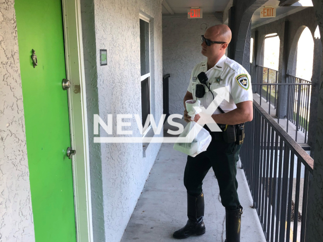 A police officer completed a DoorDash delivery after arresting a DoorDash driver in Hillsborough County in Florida in the United States.
Note: Police photo.
(@HCSOSheriff/Newsflash)