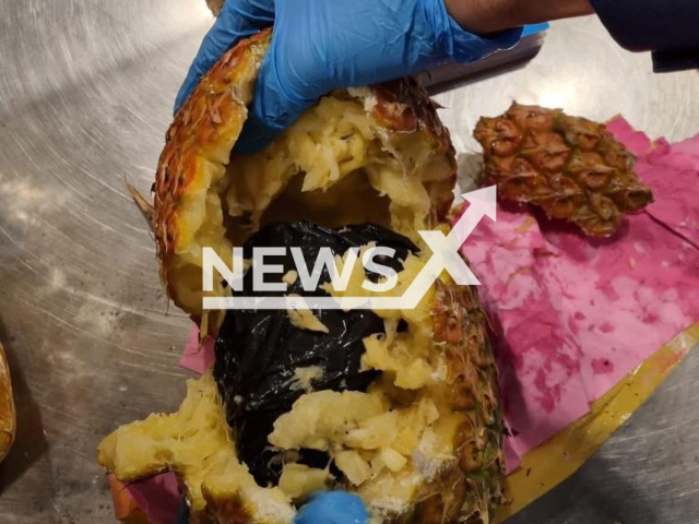 Photo shows a pineapple stuffed with drugs seized by Dubai Customs at Dubai International Airport in Dubai, United Arab Emirates, undated photo. A passenger coming from an African country was arrested for smuggling marijuana, where he hid them skillfully inside pineapple fruits. Note: Photo is from Dubai Customs (@dubaicustoms/Newsflash)